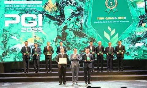 Quảng Ninh dẫn đầu về Chỉ số Xanh cấp tỉnh, Hà Nội "đội sổ" top 30