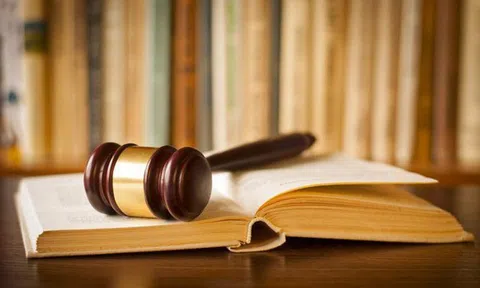 Kế hoạch hoạt động của Ban Chỉ đạo rà soát xử lý vướng mắc trong hệ thống pháp luật