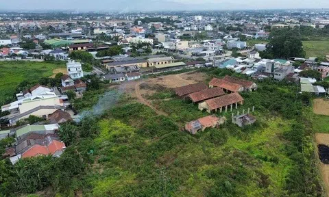 Đất bỏ hoang bao nhiêu năm thì bị mất quyền sử dụng?