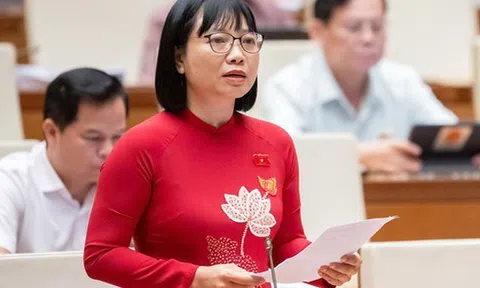 Đại biểu Quốc hội lo ngại "công ty ma" lợi dụng khi chuyển sang cơ chế hậu kiểm