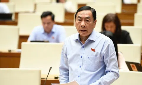 Đại biểu Quốc hội: Việc bắt nguyên cục trưởng an toàn thực phẩm 'được nhân dân ủng hộ'