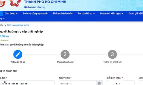 Nhận trợ cấp thất nghiệp online: Thủ tục cực nhanh