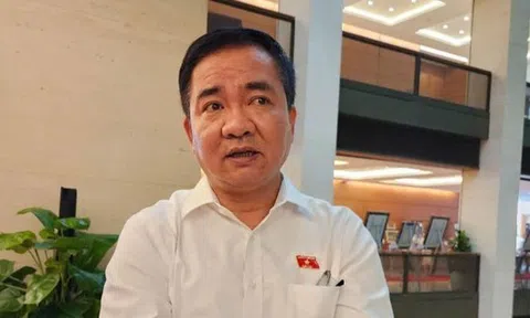 Đại biểu Quốc hội: Ngoài yếu tố pháp luật, người nổi tiếng càng phải giữ liêm sỉ