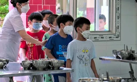 Hà Nội chi hơn 3.000 tỉ đồng hỗ trợ bữa trưa cho 768.000 học sinh tiểu học