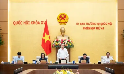 Ghi nhận BHXH bắt buộc cho chủ hộ kinh doanh trước 1/7/2025