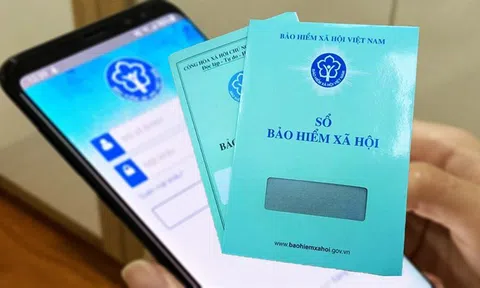 Cách xin cấp lại sổ Bảo hiểm Xã hội thông qua ứng dụng VssID