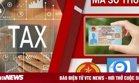 Sử dụng mã định danh cá nhân thay mã số thuế, người dân cần lưu ý gì?