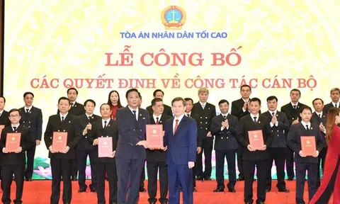 Bổ nhiệm 29 Chánh tòa và Chánh án các tỉnh thành mới tại tòa án Nhân dân tối cao