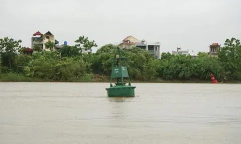 Mực nước sông Trà Lý, sông Hồng dâng cao từng giờ, người dân Hưng Yên đắp bờ chống ngập