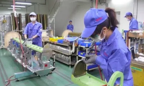 Theo quy định mới nhất, trường hợp nào doanh nghiệp được tạm dừng đóng bảo hiểm xã hội?
