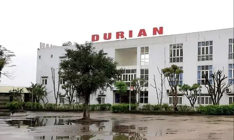 Công an Hà Nội khởi tố một giám đốc người nước ngoài về tội trốn thuế