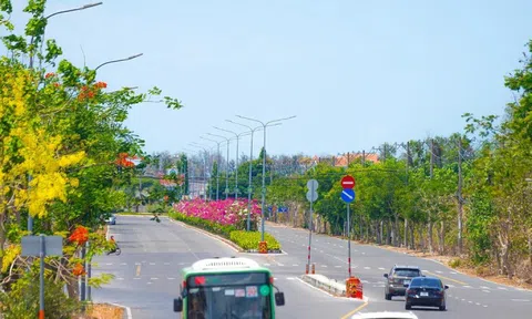 Người dân Cần Giờ, Côn Đảo được ưu đãi gì khi chuyển sang xe điện?