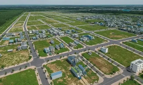 Trình tự, thủ tục giảm tiền thuê đất phải nộp năm 2025, nhiều người cần biết